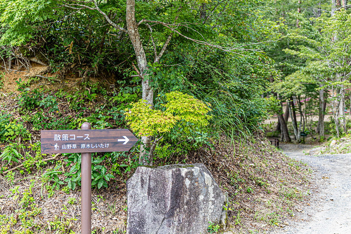 里山